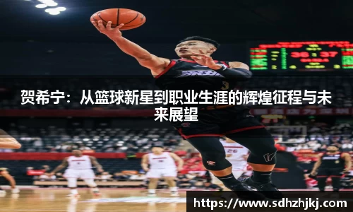 贺希宁：从篮球新星到职业生涯的辉煌征程与未来展望