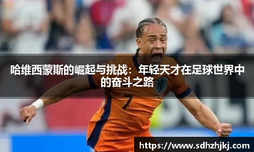 hth华体会体育