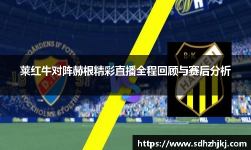 hth华体会官网